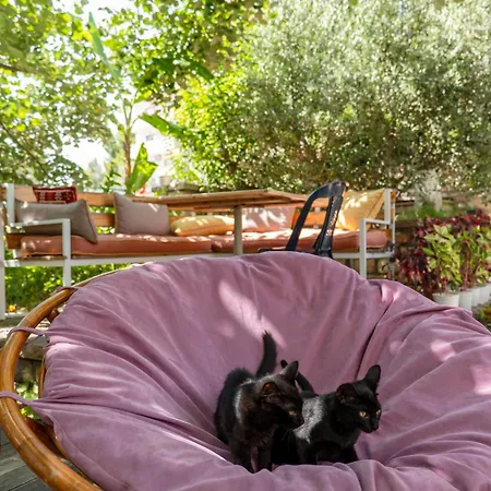 Garden Hotel