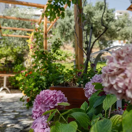 Garden Sarandë