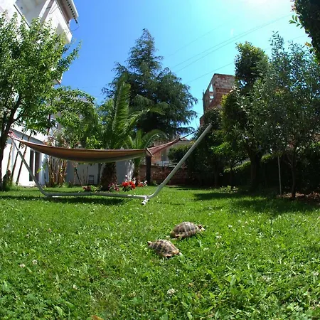 Hotel Garden 4*