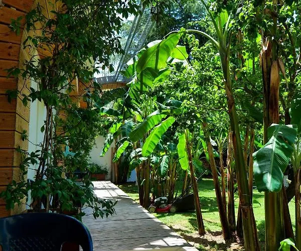 Garden Sarandë