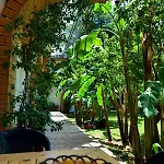 Garden Saranda