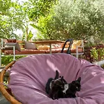 Garden Hotel