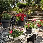 Hotel Garden 4*