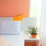 Hotel Garden 4*