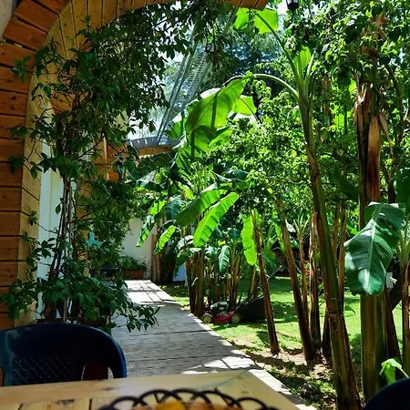 Garden Sarandë