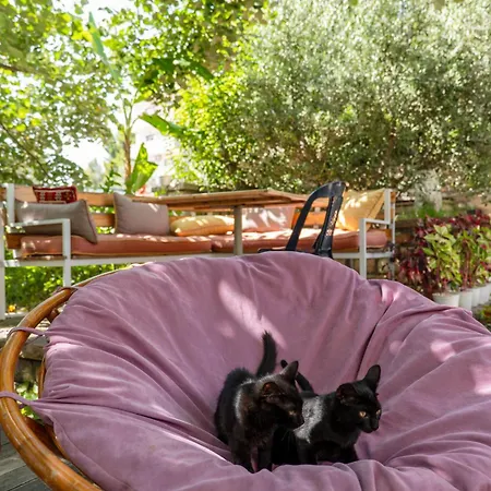 Garden Hotel