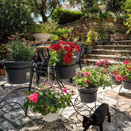 Hotel Garden 4*