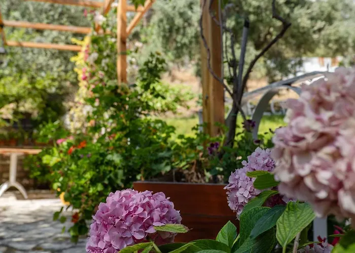 Garden Saranda